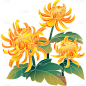 菊花元素贴纸