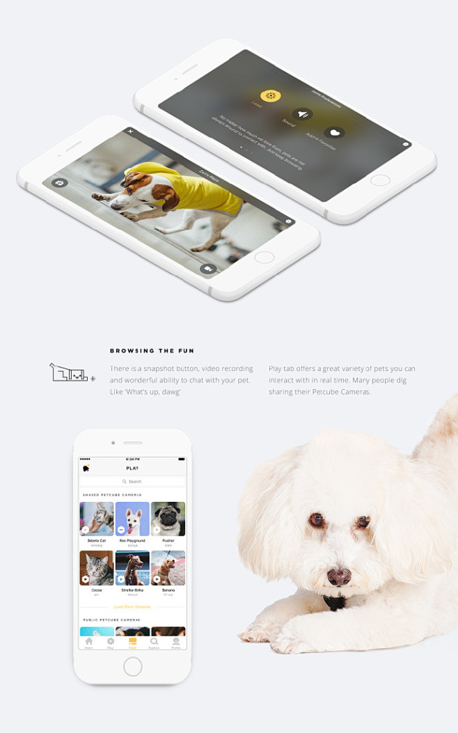 #优秀App设计# 一款宠物社交且能远程...