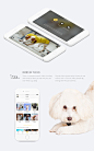 #优秀App设计# 一款宠物社交且能远程逗自家狗玩儿的应用，作品链接O网页链接
