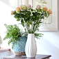 清汤卧果——澳大利亚玫瑰，柔美淡雅的色调，适合清馨的家