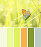 WIngedPalette