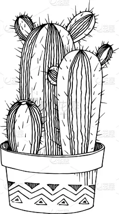 仙人掌,植物学,黑色,铅笔,壁纸,植物群,春天,花,剪影