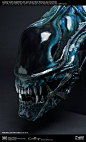 《异形》系列推出1：1电影道具级头雕 原版道具复制 精湛涂装限量发售 – Mtime时光网