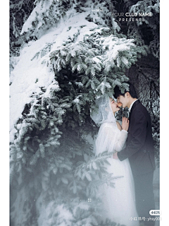 123呃呃呃采集到婚纱照 雪景