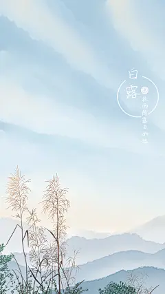 白露 晨雾 芦苇 手机壁纸 丰盛良食 手绘 插画 节气