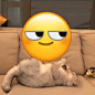 猫咪盘emoji