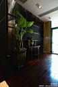 大面积的绿植，装饰着客厅 更多美家灵感尽在美丽家。