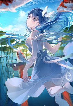 zmdnxb采集到美和野