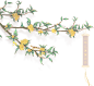 wb宝儿别摆烂-免扣素材-手绘-插画-花卉-花朵00052