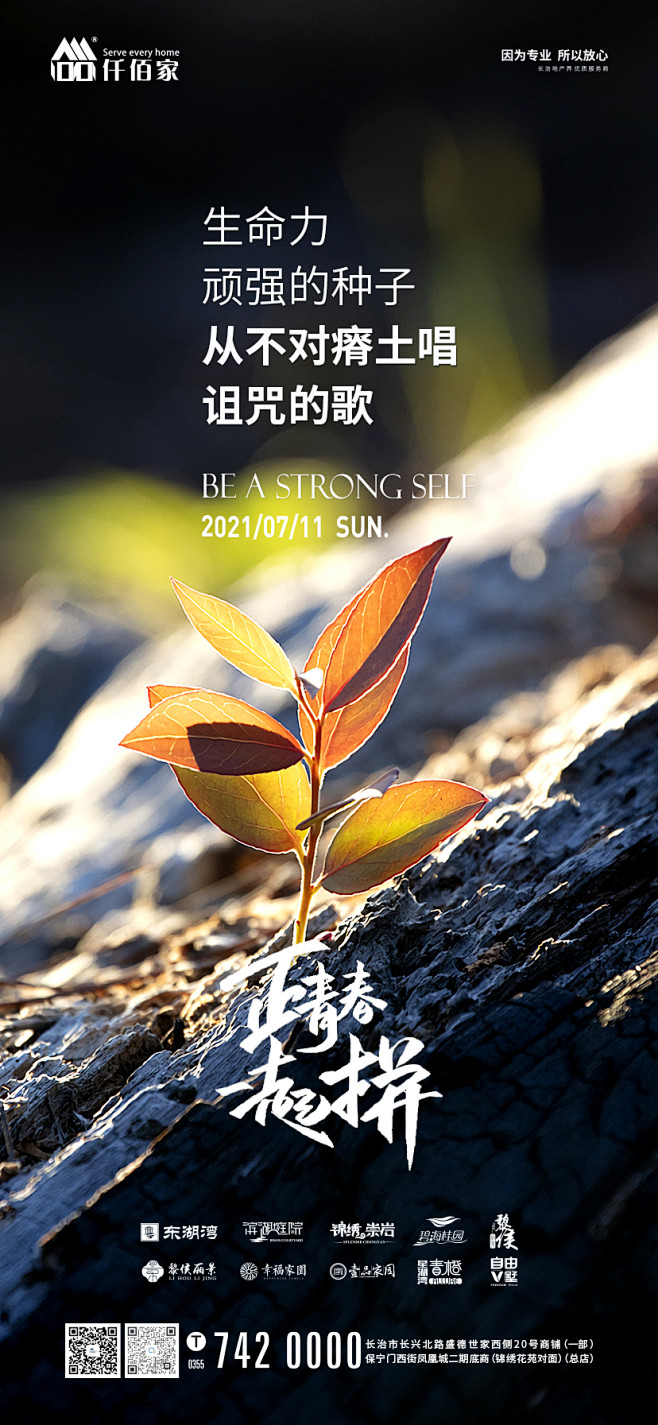 7月11