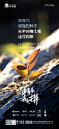 7月11