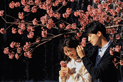 花间一壶清清酒采集到人物/写真