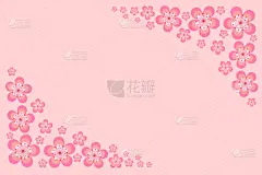式样,模板,粉色背景,名片,樱桃,花