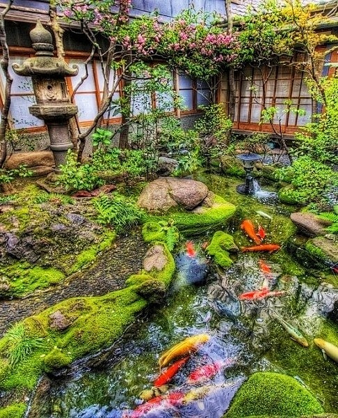Lovely Japanese Gard...