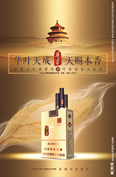MissGuoMiss采集到香烟