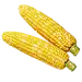 玉米