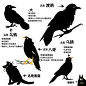c19ba88f-ceb8-4166-97d7-b574c389d2dd