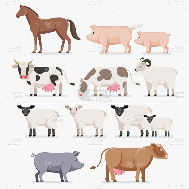绵羊,猪,山羊,动物,马,农场,母牛,分...