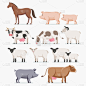 绵羊,猪,山羊,动物,马,农场,母牛,分离着色,可爱的,布置