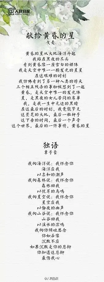 十四首经典中国现代诗！体悟现代诗歌意境之美。熟读于心，美不胜收。-花瓣网