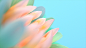 Behance :: 为您呈现