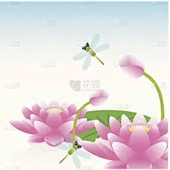 荷花和蜻蜓