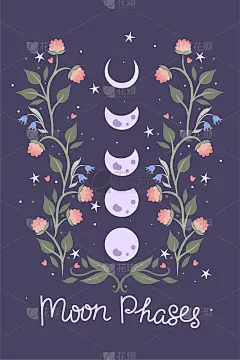 紫色背景上的月相和花朵。矢量图形。