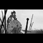 爱睡得小胖的照片 - 艺术大师   richard anderson   分镜表现