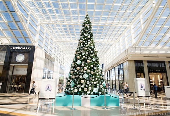 Project Gallery | Ch...