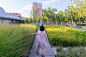 Xuhui Runway Park by Sasaki « Landscape Architecture Platform | Landezine