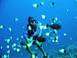 塞班岛体验潜水：感受深蓝世界门票_订票_价格_塞班岛旅游_活动网_大活动网