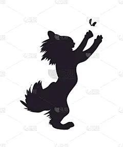 猫,蝴蝶,捕猎行为,儿童,婴儿,形状,白色,黑色,可爱的,性格