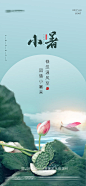 小暑节气移动端海报