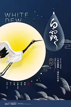 白露二十四节气海报设计模版