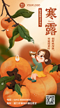 寒露节气祝福柿子习俗手绘手机海报