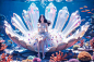 海洋公主 (5)