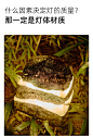 户外草坪灯庭院灯防水公园仿石头创意造景氛围树脂地灯园林景观灯-淘宝网