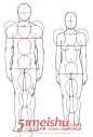 素描速写人体比例结构.jpg