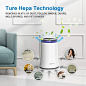 AZEUS High CADR Air Purifier for Home, Large Rooms to 376ft², Fast Purification, True HEPA Filter Air Cleaner, Filters Allergies, Pollen, Smoke, Dust, Pet Dander, Quiet, 100% Ozone-Free, Night Light