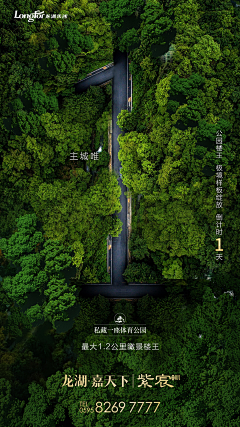 少女味的愉籽酱采集到地产海报