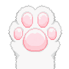 猫爪