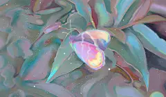 蝴蝶_吃饱饱w__插画师作品_涂鸦王国gracg.com