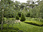 Peter Fudge Gardens - Field of Manchurian Pear : Driving through the rural timber gates, the decomposed driveway is generous and bordered by massed Pennisetum and Birch groves.  The garden is hidden behind manicured hedges and the sound of running water i