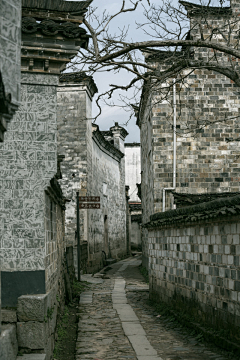 狐狸芣湜岆╮采集到曲径通幽