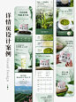 电商详情页｜明前龙井详情页_1_2158_电商设计_木木_来自小红书网页版