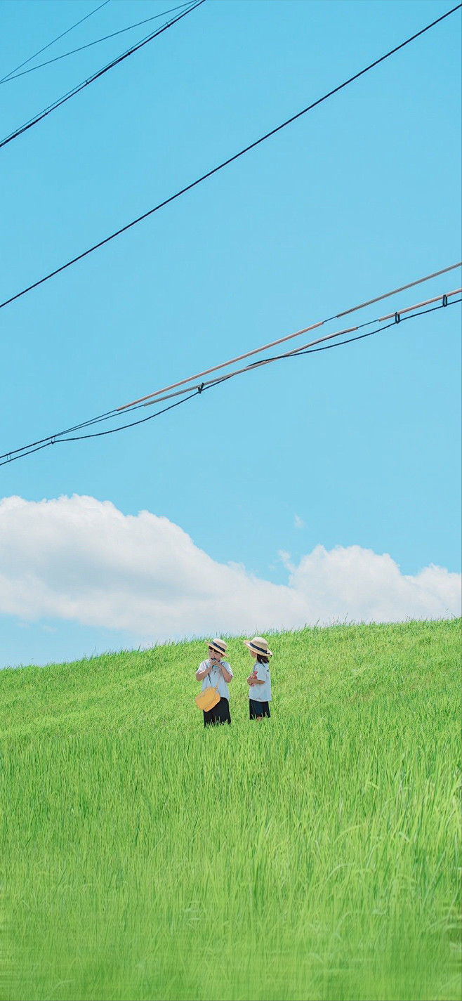 小暑-1_画板 1 副本