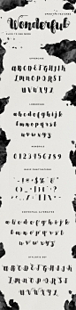 Sortdecai Brush Script| On Sale for $12