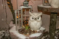 猫头鹰,灯笼,圣诞小彩灯,美,贺卡,新的,水平画幅,雪,传统