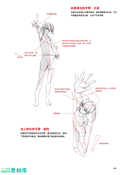 주미련采集到临摹素材