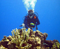 塞班岛体验潜水：感受深蓝世界门票_订票_价格_塞班岛旅游_活动网_大活动网